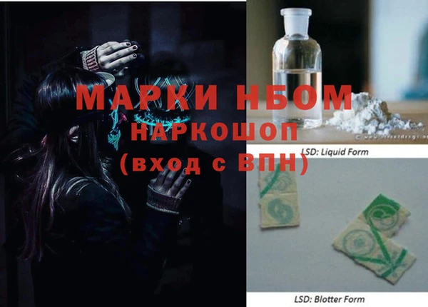 гидропоника Новозыбков