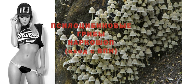 ALPHA-PVP Новодвинск