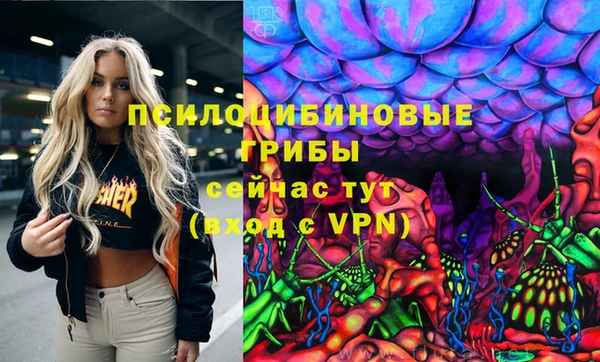 ALPHA-PVP Новодвинск