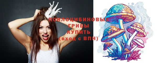 ALPHA-PVP Новодвинск